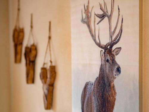 Holiday Apartements by Hotel Grüner Baum Feldberg in Feldberg, Germany