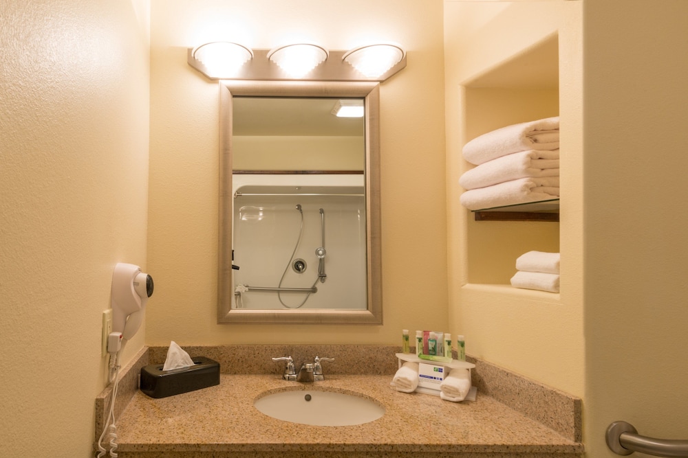 Holiday Inn Express & Suites Alamosa an IHG Hotel - photo 5