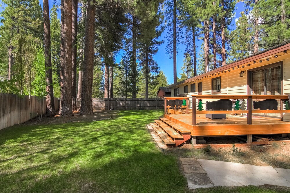 Bear Claw Trails - photo 19