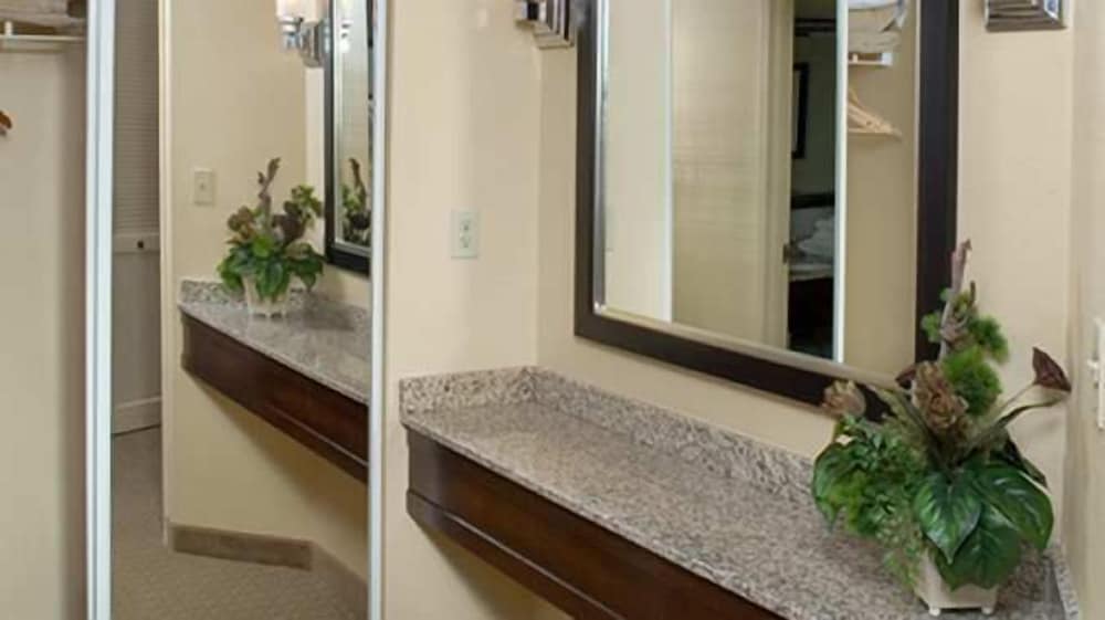 DoubleTree Suites by Hilton Raleigh Durham - photo 15