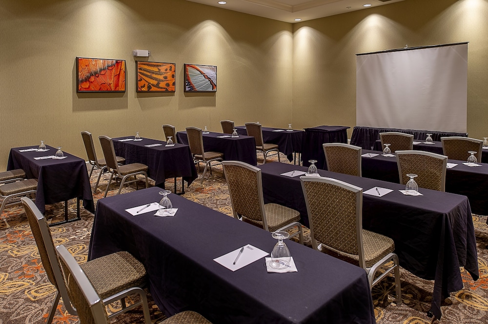 Hilton Garden Inn St. Louis Airport - photo 45
