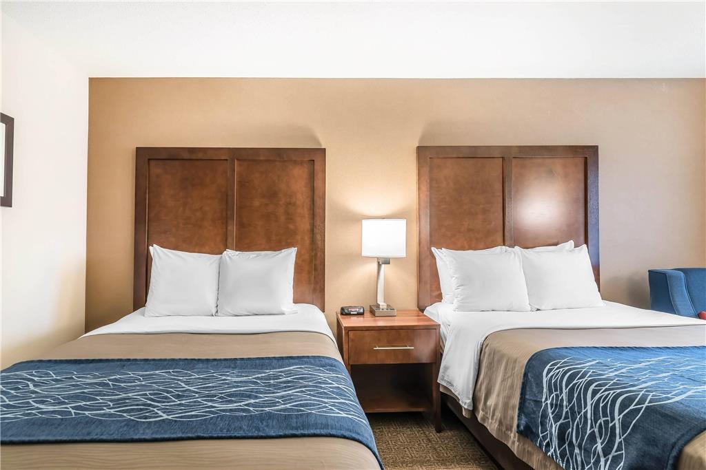 Comfort Inn Concord South End - photo 12