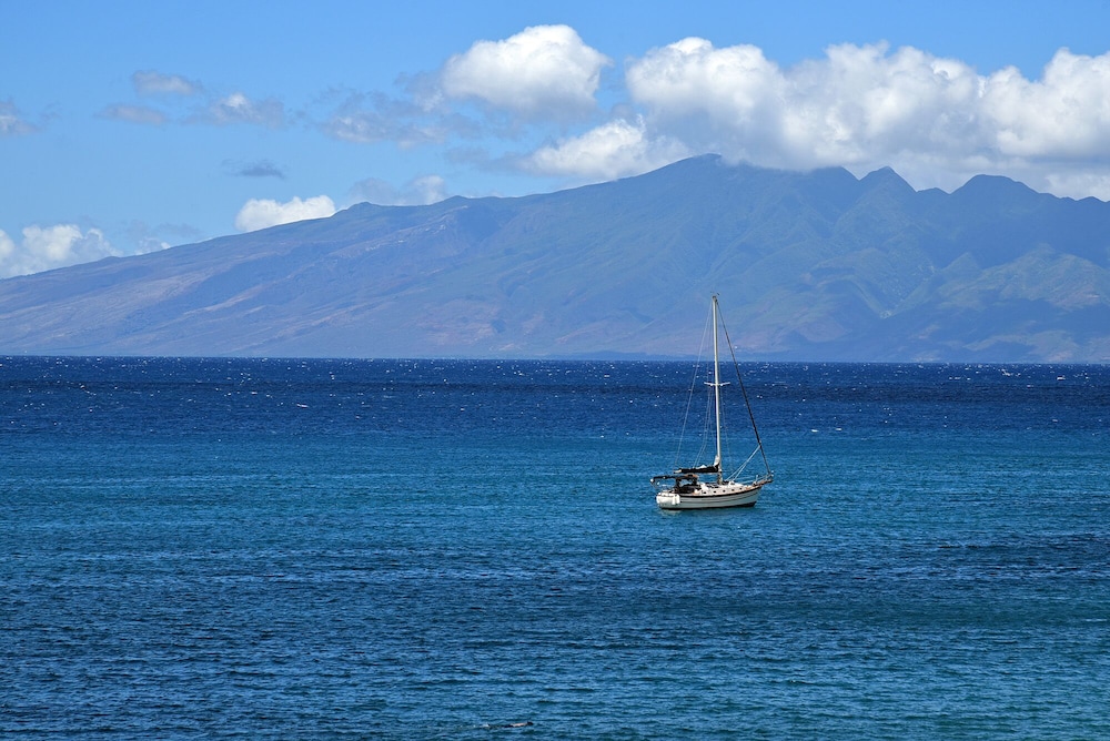 Whaler 859 - photo 32