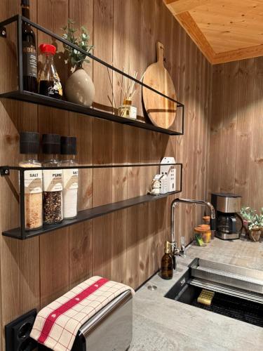 Trysil Moderna Lodge — Innbygda — photo 3
