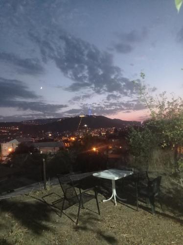 Panorama of Tbilisi