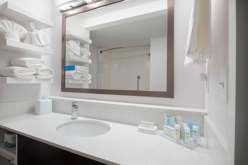 Hampton Inn & Suites Atlanta Galleria - photo 27