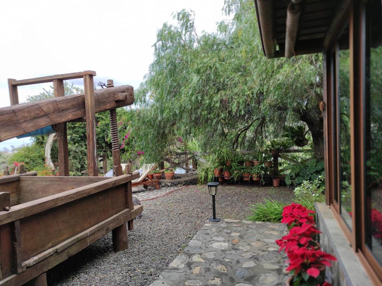 Finca Alda — Los Llanos De Aridane — photo 2