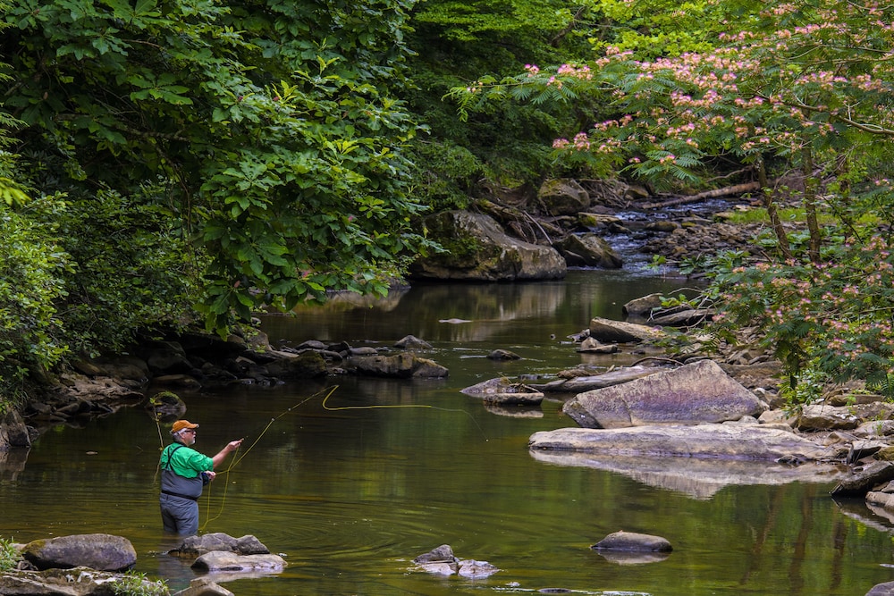 Pine Mountain State Resort Park - photo 26