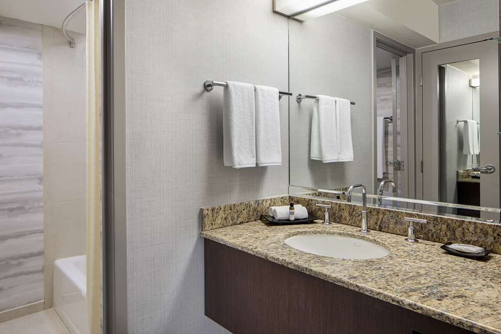 Hyatt Regency DFW International Airport Adjacent to Terminal C - photo 12
