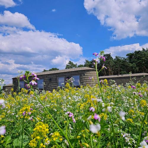 Landgut Voigtsmuhle — Friedland