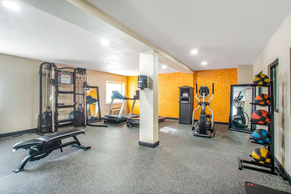 La Quinta Inn by Wyndham St. Louis Hazelwood Airport North - photo 10