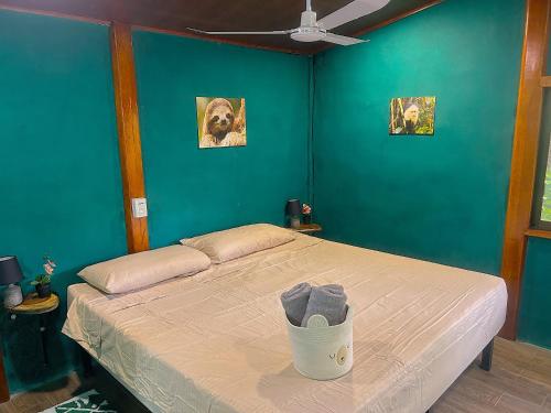 Java blue banana in Santa Cruz, Costa Rica