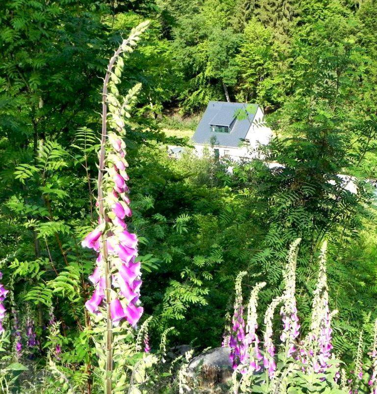 Ferienhaus Buschmuehle Stolpen — Stolpen — photo 5