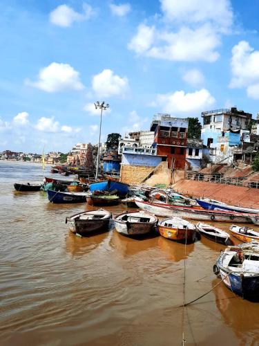 Anand Kanan — Varanasi — photo 5