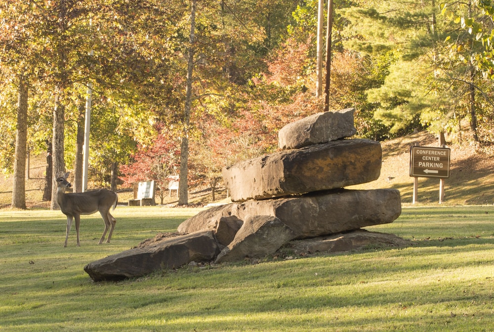 Buckhorn Lake State Resort Park - photo 34