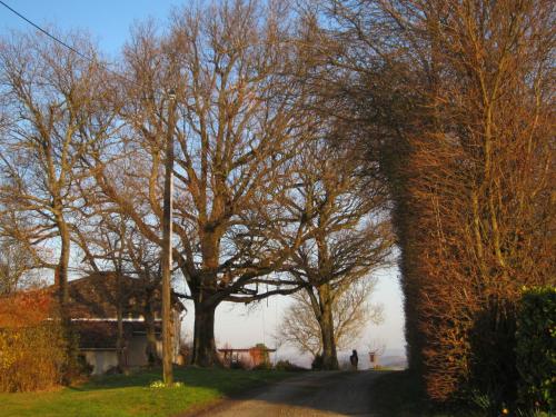 La Ferme Du Bascou — Cintegabelle