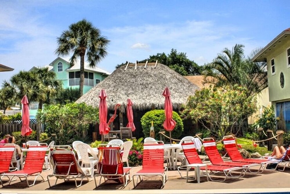 Palm Terrace - photo 46