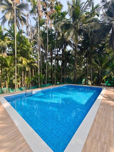 Baadal Pani Beach Resort Near Kelwa Beach — hotel in Manor