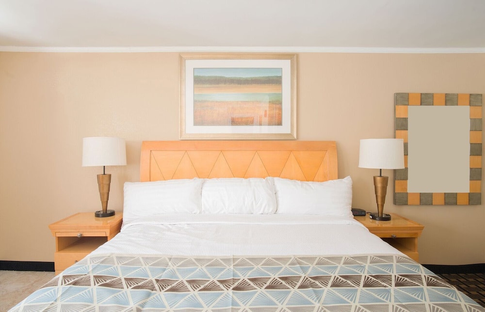 Mount Royal Inn — hotel in Adams