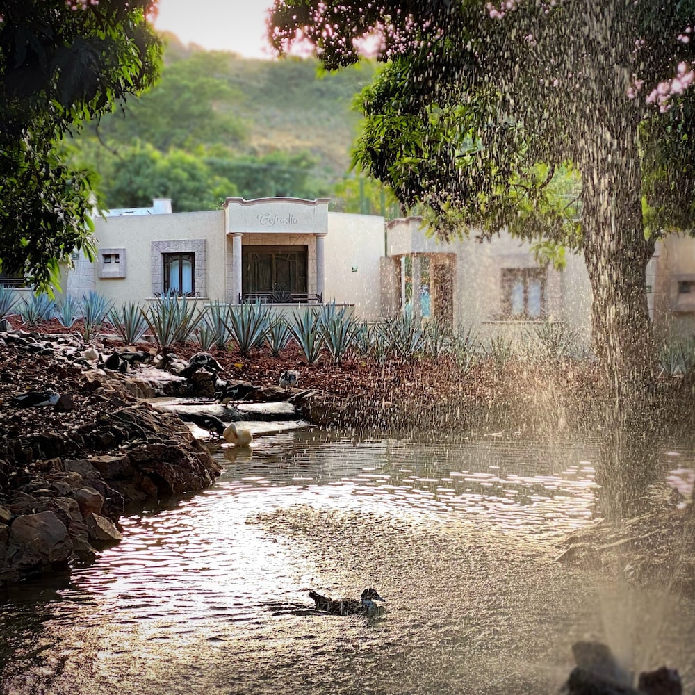 Matices Hotel de Barricas in Tequila, Mexico