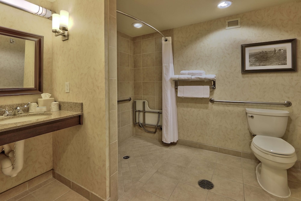 Hilton Garden Inn Las Cruces - photo 31