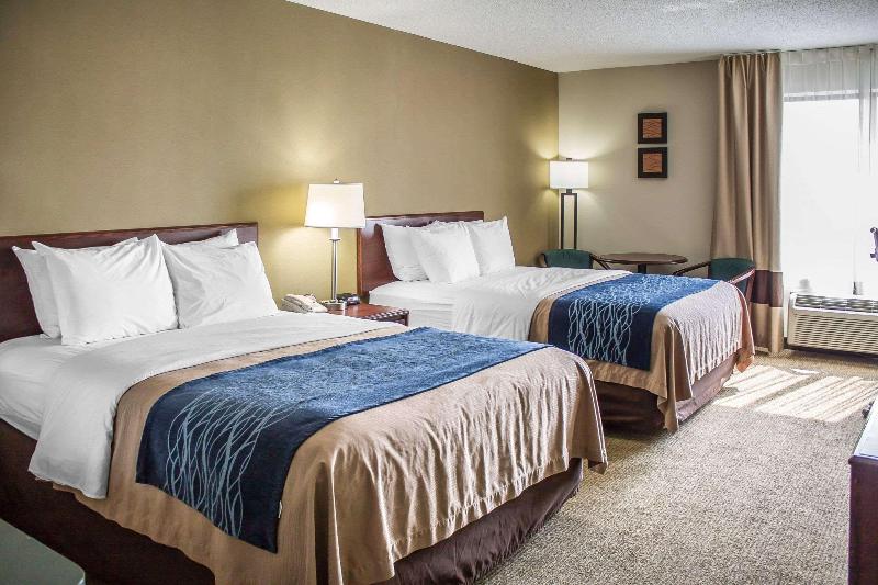 Comfort Inn - photo 10