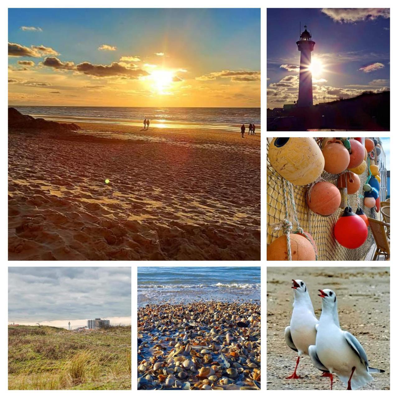 ‘T Koerhaus in Egmond Aan Zee, Netherlands