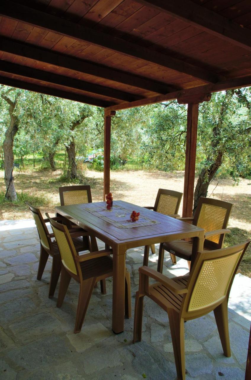 Ktima Elia - last minute hotel in Unknown City