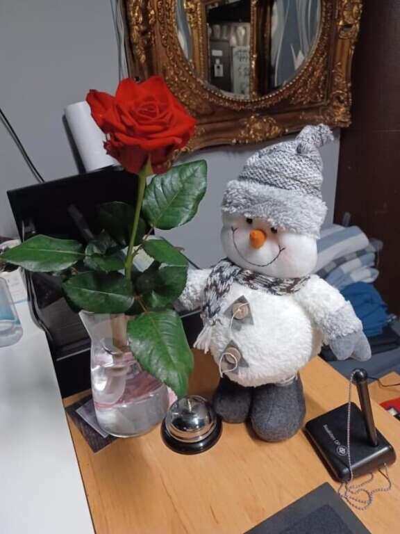 Hotelli Ikahani in Ikaalinen, Finland