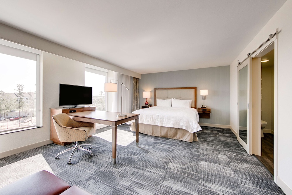 Hampton Inn & Suites North Houston Spring - photo 10