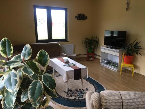 Zvezdica — 4-Star Luxury Hotel in Bajina Basta, Serbia