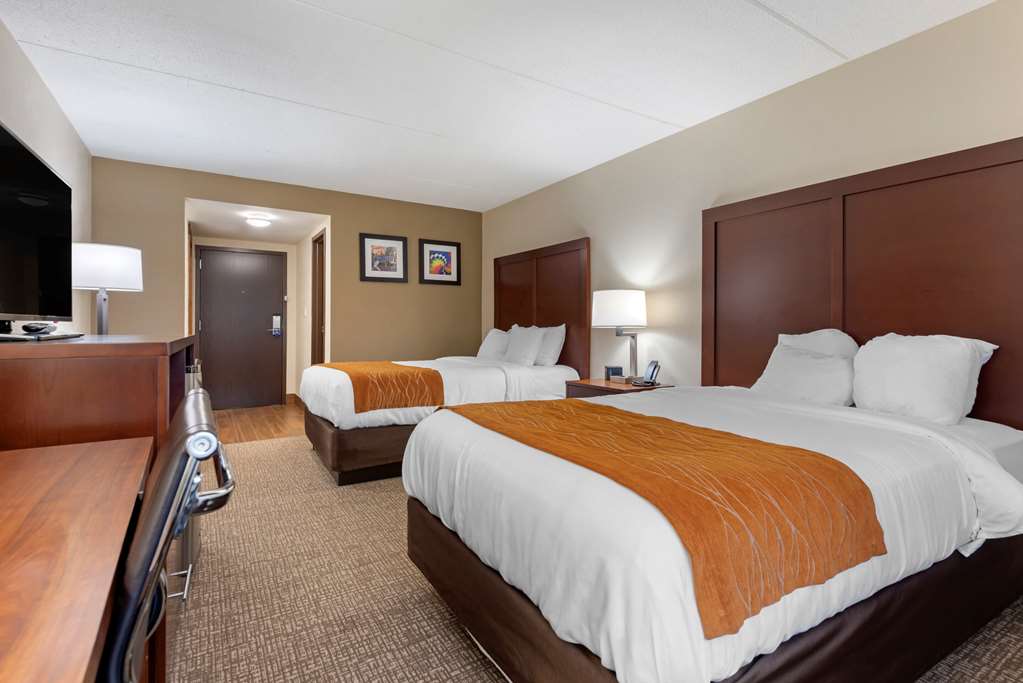 Comfort Inn Binghamton I 81 - photo 8
