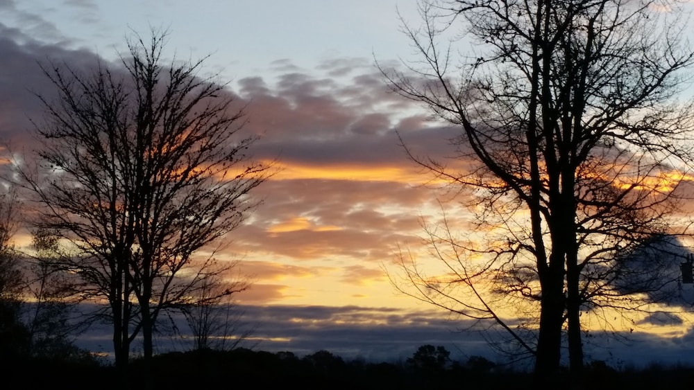 Acadia Sunrise Motel - photo 23