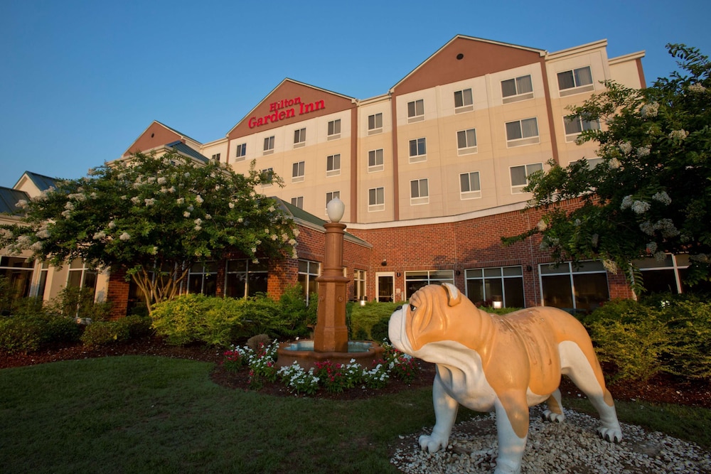 Hilton Garden Inn Starkville - photo 121
