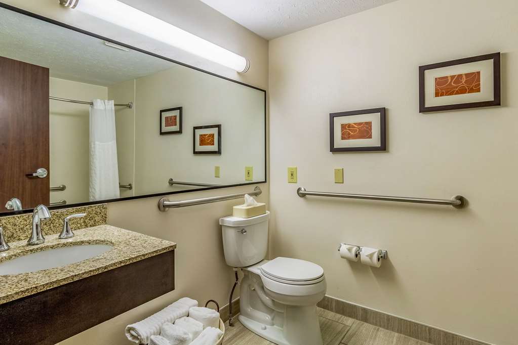 Comfort Inn Independence Cleveland - photo 26
