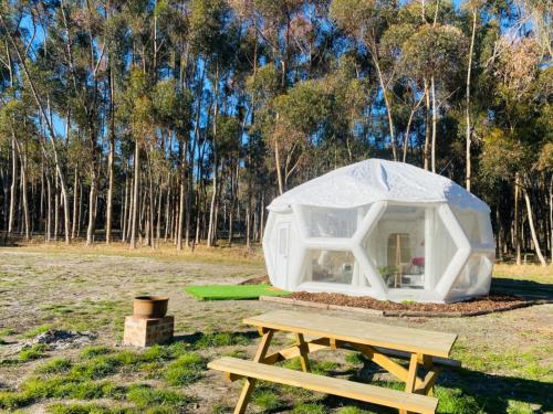 Coonawarra Hampton Bubble 5 - last minute hotel in Unknown City