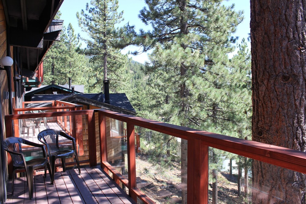 Tahoe Chaparral - photo 28