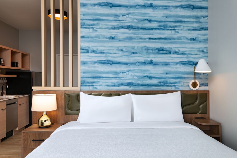 TownePlace Suites by Marriott Stafford Sugar Land - photo 12