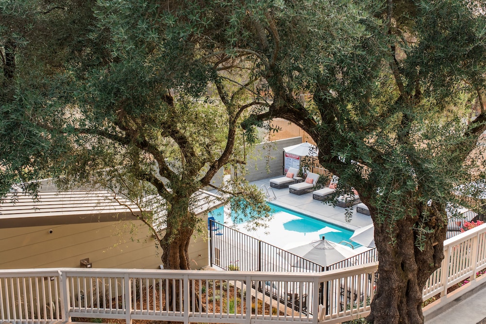 Olea Hotel - photo 63