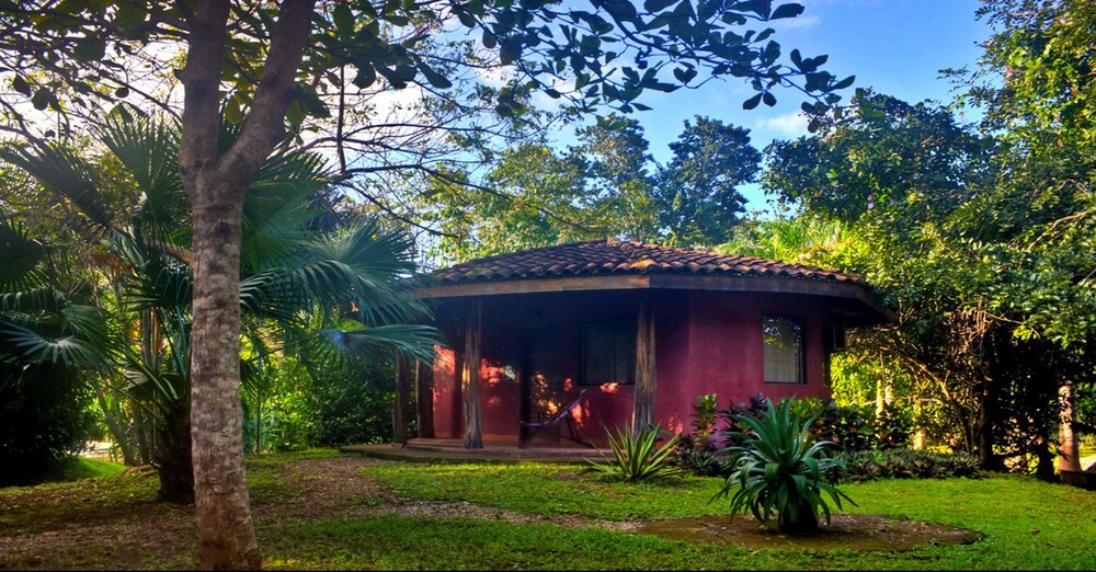 Hotel Mauna Loa - last minute hotel in Unknown City