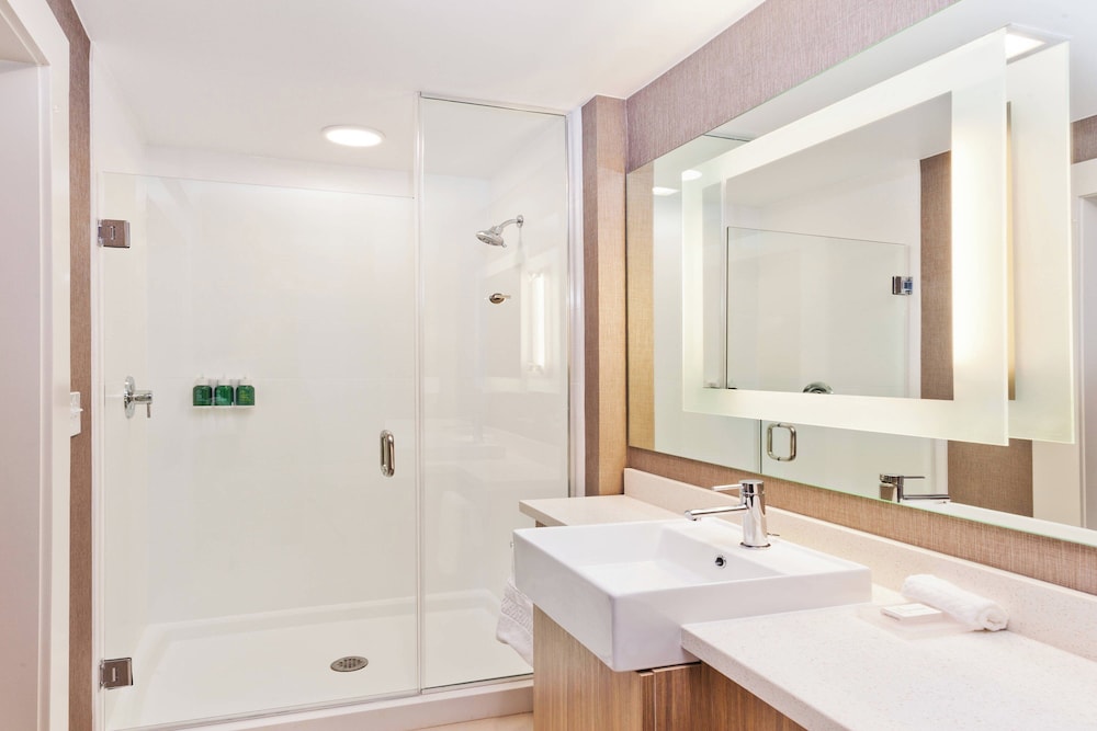SpringHill Suites by Marriott Montgomery Prattville Millbrook - photo 16