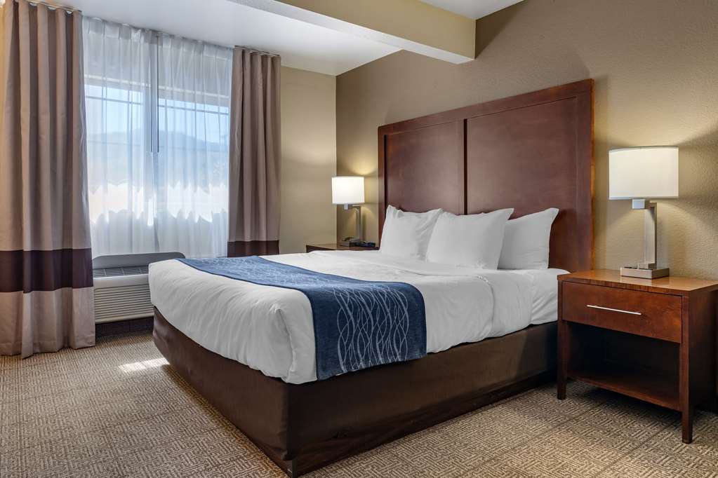Comfort Inn & Suites Ukiah Mendocino County - photo 11