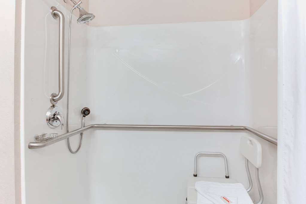 Microtel Inn & Suites by Wyndham Olean Allegany - photo 4