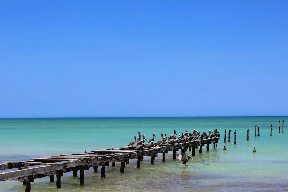 Dock