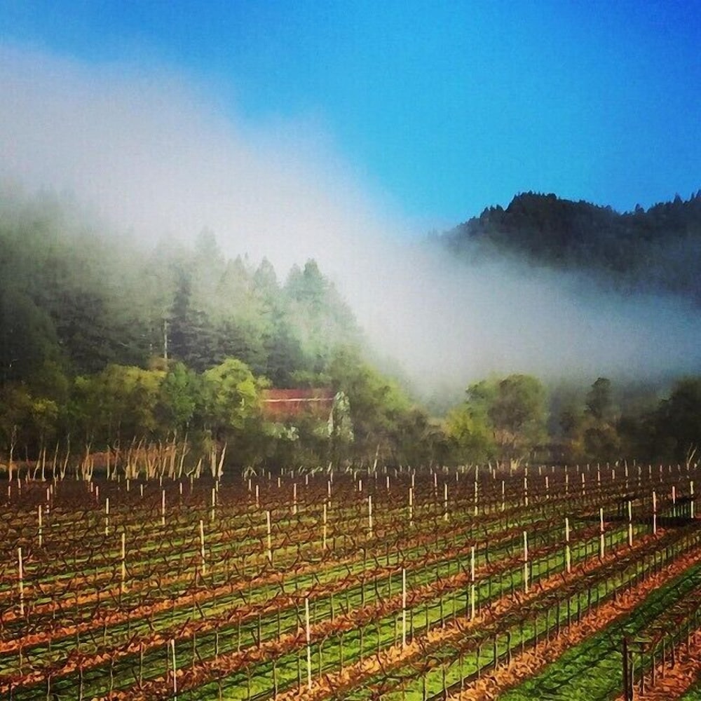 West Sonoma Inn & Spa - photo 83