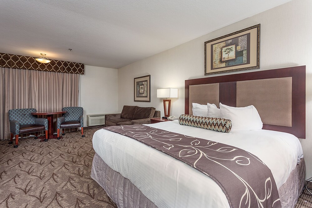Shilo Inns Idaho Falls - photo 18