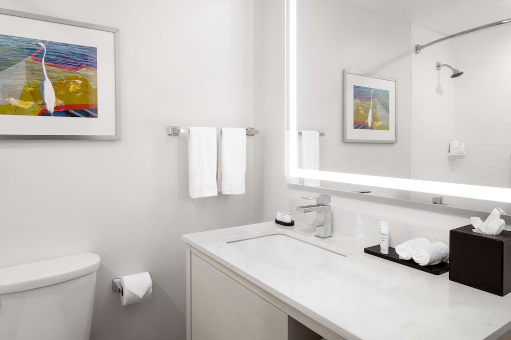 Embassy Suites by Hilton Tampa Airport Westshore - photo 36