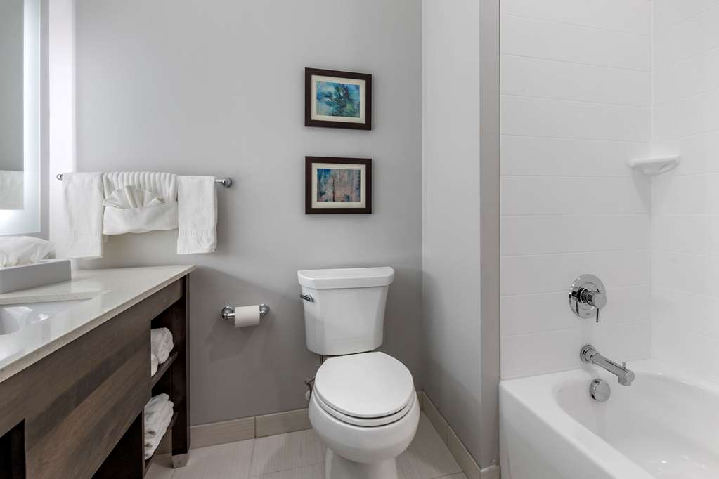Comfort Suites Greenville Airport - photo 17