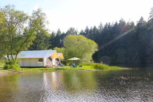 Lakedale Resort - photo 2
