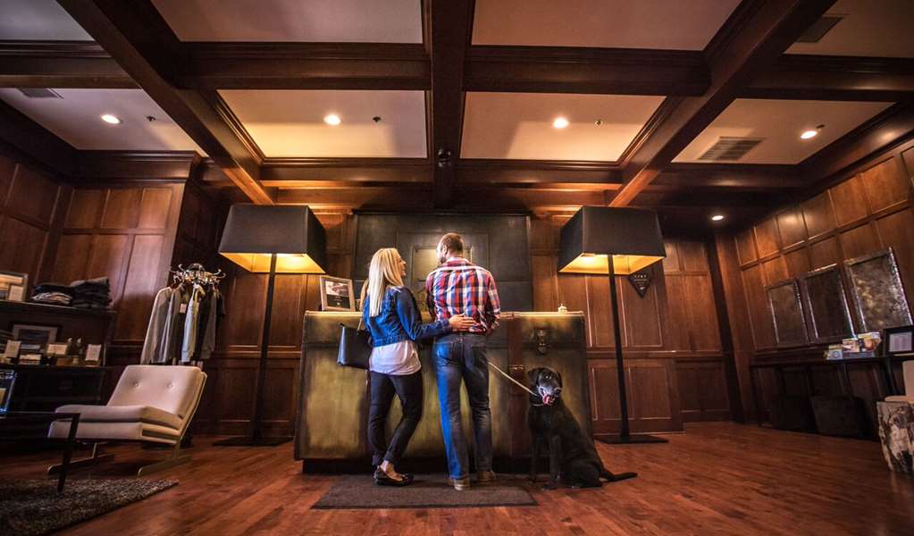 The Delafield Hotel - photo 9